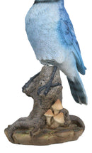 Wildlife Blue Jay Passerine Bird Perching on Tree Stump Spring Bouncing Figurine