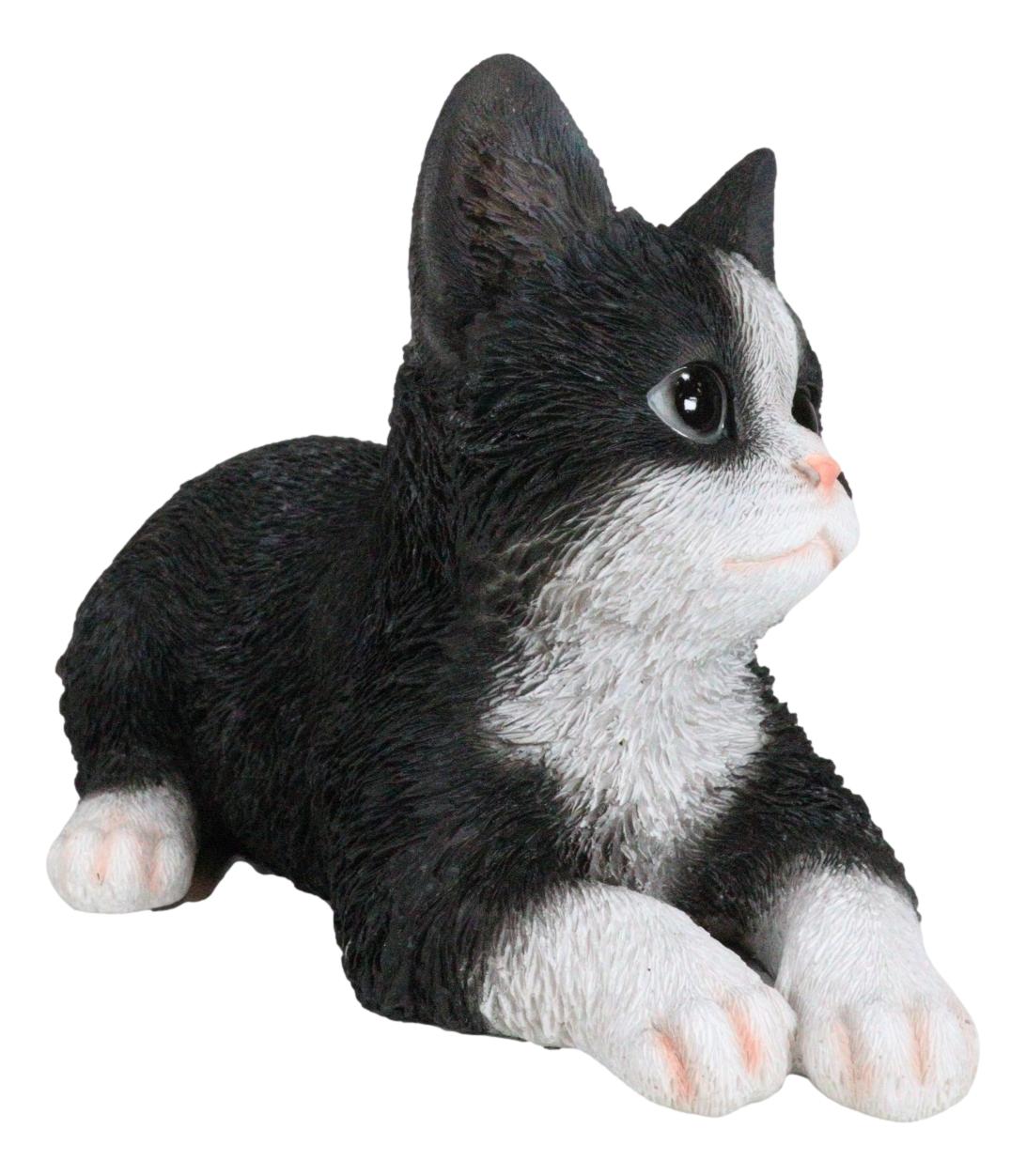 Lifelike Tuxedo Black And White Feline Kitten Cat Sitting On Its Belly