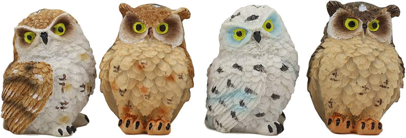 Ebros Peeking Colorful Nocturnal Fat Owls Miniature Figurine Set of 4 Whimsical