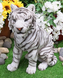 Apex Predator Realistic White Siberian Tiger On Guard Resin Statue 16.5"H