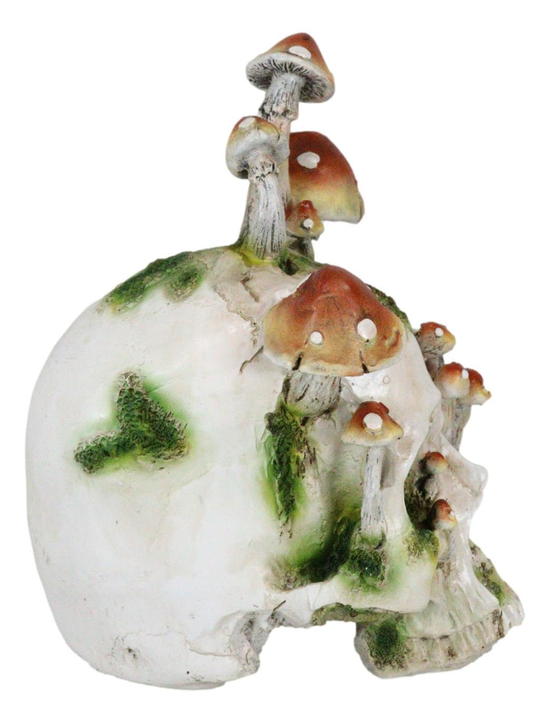 Day Of The Dead Toadstool Mushrooms And Moss Fungi Gothic Skull Figurine