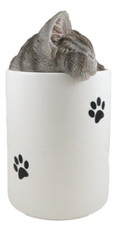 Ceramic Gray Tabby Cat Hiding and Peeking Dry Storage Jar With Paw Prints Decor