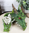 Ebros Fantasy Greenman Spiked Tree Dragon Head Decorative Jewelry Box Figurine