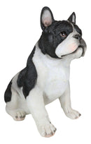 Realistic Sitting Black French Bulldog Puppy Dog With Glass Eyes Statue Pet Pal