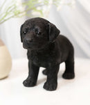 Ebros 6.25"L Realistic Chocolate Labrador Puppy Resin Figurine