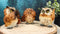 Wisdom Of The Forest See Hear Speak No Evil Great Horned Owls Figurine Set Owl