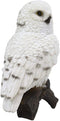 Ebros Snowy Tundra White Owl Perching On Tree Branch Statue 6.5"Tall Figurine