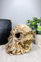 Ebros Mythological God Cthulhu Skull Statue 7" Long Alien Monster Kraken Octopus Decorative Figurine