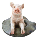 Country Farmside Western Adorable "Babe" Pink Pig In Cowboy Hat Figurine 5.25"H