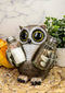 Ebros Whimsical Owlet Baby Owl W/ Big Round Eyes Glass Salt & Pepper Shakers Set