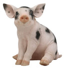 Large Adorable Realistic Animal Farm Babe Spotted Pig Piglet Statue 9"H Decor