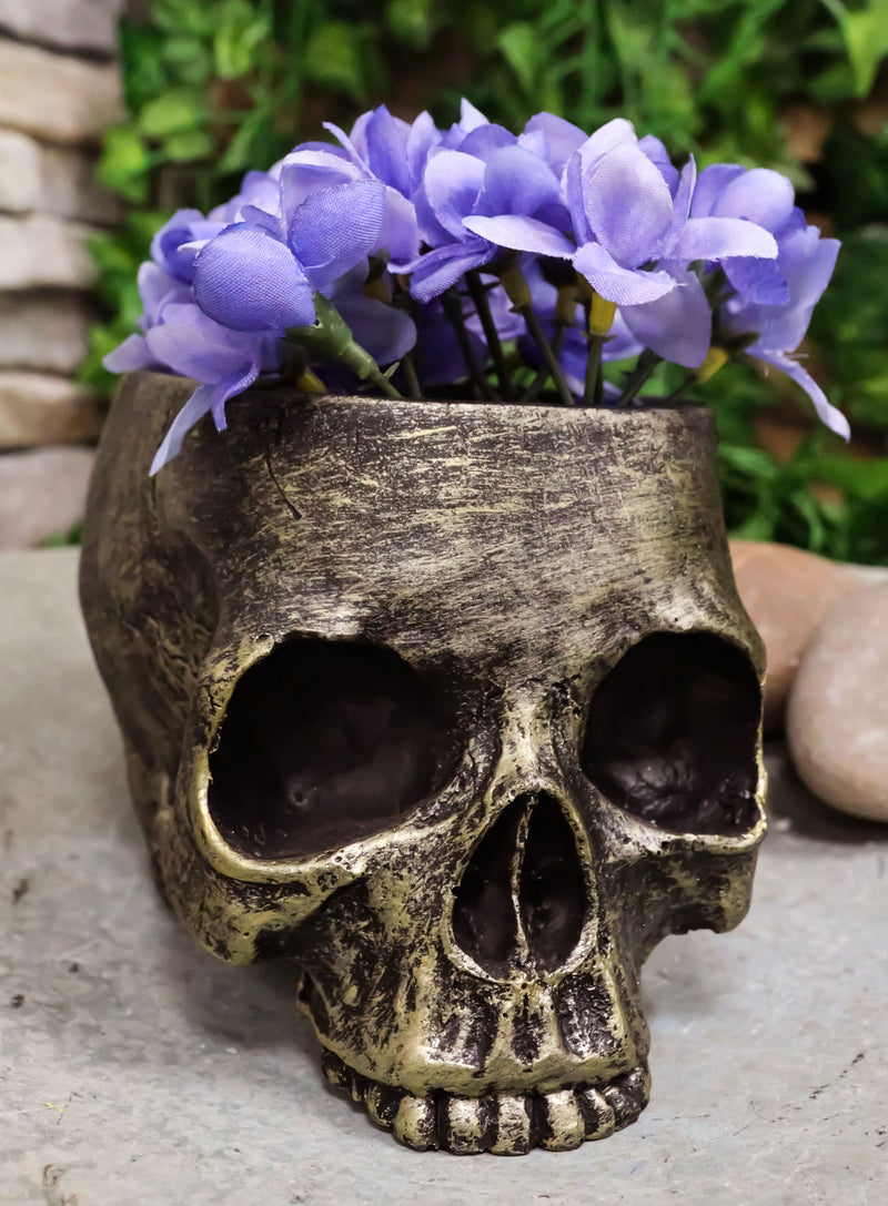 Pack Of 4 Day Of The Dead Skull Planters Bowls 7"L Bronze Finish Decor Accent