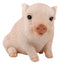 Ebros Rustic Adorable Animal Farm Babe Fat Nude Piglet Pig Sitting Figurine 6"L