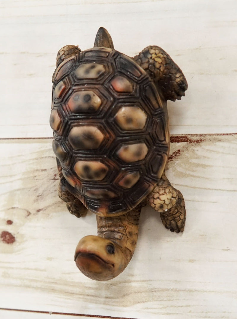 Pack Of 2 Nautical Marine Brown Long Necked Tortoise Rustic Wall Hook Hanger