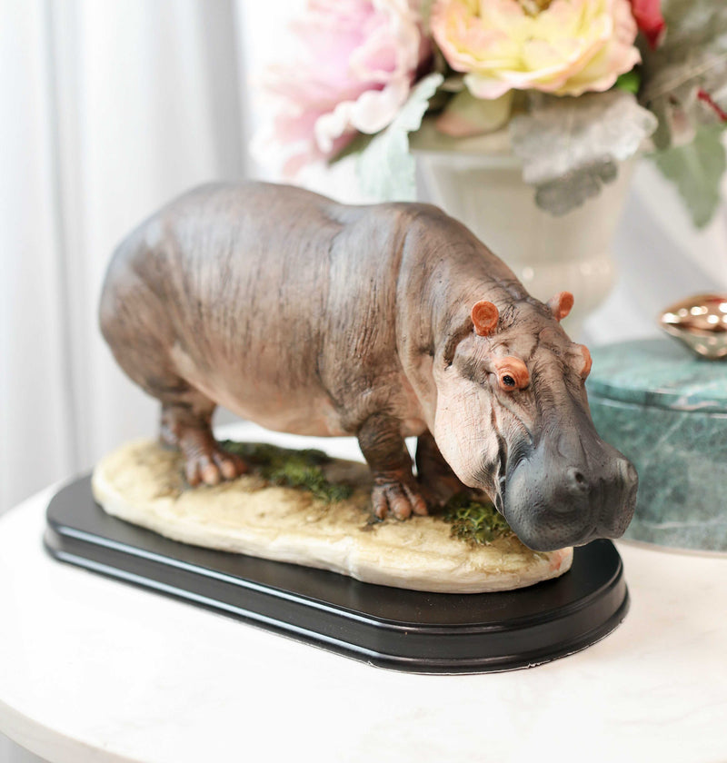 African River Common Hippopotamus Statue On Black Gallery Base 11"L Hippo Decor