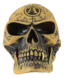 Cream Brown Sacred Symbols Omega Alchemy Skull Gear Shift Knob Or Paperweight