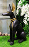 Ebros Large Egyptian Anubis Dog Statue 21.25"Tall God Of Afterlife And Mummification