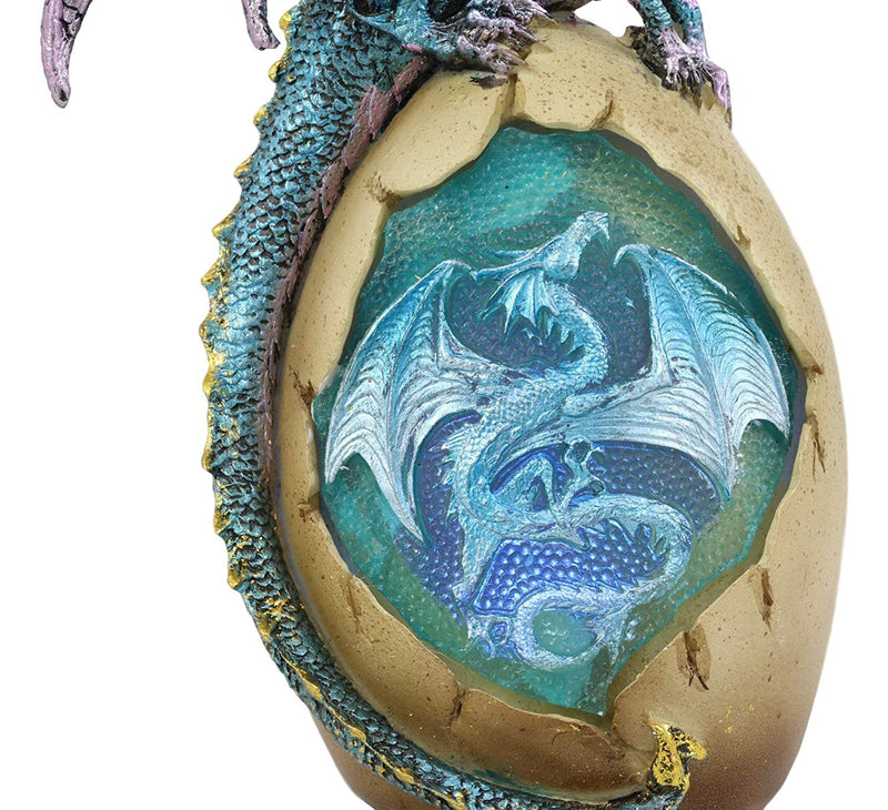 Ebros Water Dragon with LED Light Guarding Dragon Egg Collection 10" Height