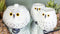 Ebros Whimsical White Fat Snow Owl Ceramic 16oz Tea Pot With 2 Cups Set Owls Decor