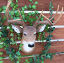 Ebros 8 Point Buck Deer Bust Champion Wall Mount Sculpture Plaque Figurine 21"H