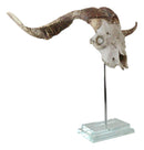 Rustic Western Valais Blackneck Billy Goat Skull Plaque Glass Base Pole Stand