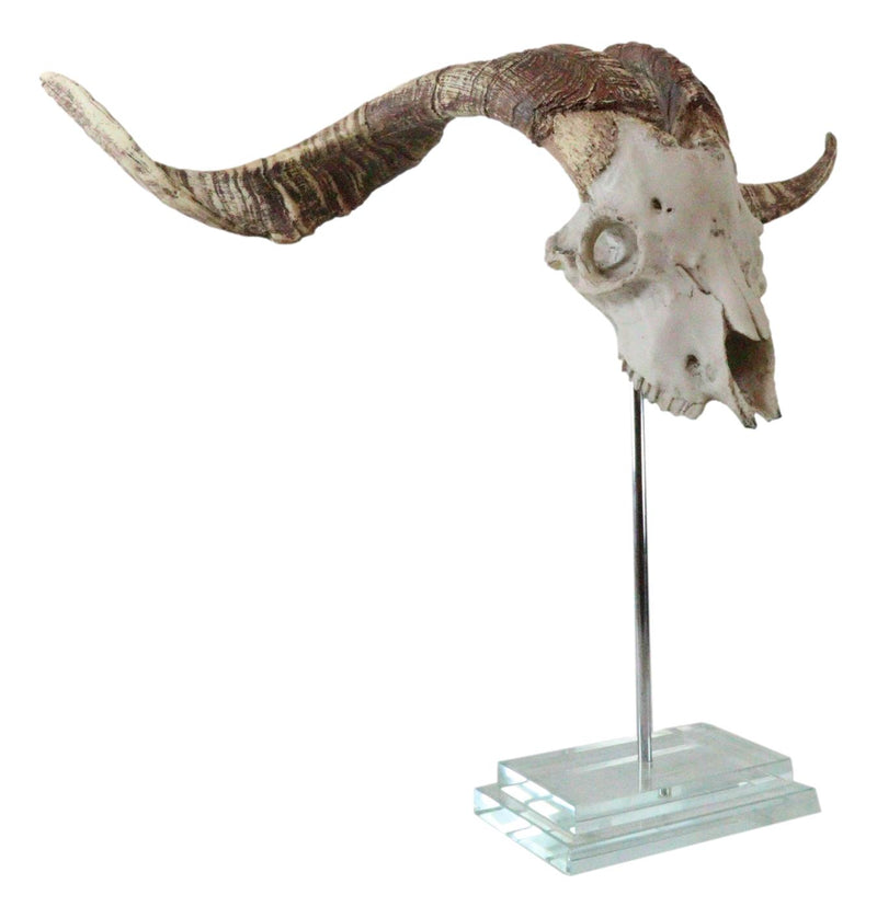 Rustic Western Valais Blackneck Billy Goat Skull Plaque Glass Base Pole Stand