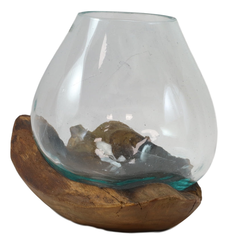 Balinese Handicraft Natural Driftwood With Fitted Hand Blown Glass Bowl 8.5"H