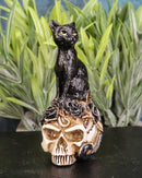 Wicca Magic Black Mystical Cat Sitting On Skull With Poison Roses Mini Figurine