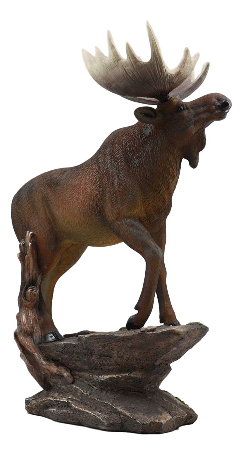 Ebros The Emperor Pride Realistic Bull Moose Standing On Rock Statue 13.5"Tall Wildlife Elk Deer Woodlands Decor Figurine