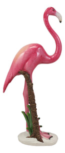 Tropical Rainforest Paradise Standing Pink Flamingo Bird Decor Statue 11.75"H