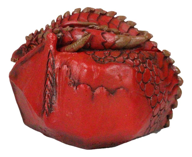 Awaken The Dragon Hibernating Red Drake Small Stash Decorative Box Figurine