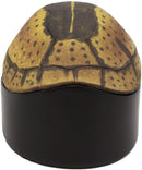 Ebros Nautical Reptile Realistic Spotted Tortoise Shell Decorative Box Figurine 6.25"L