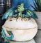 Earth Gaia Dragon Hatchling Breaking Out Of Egg Shell Figurine Jewelry Box Decor