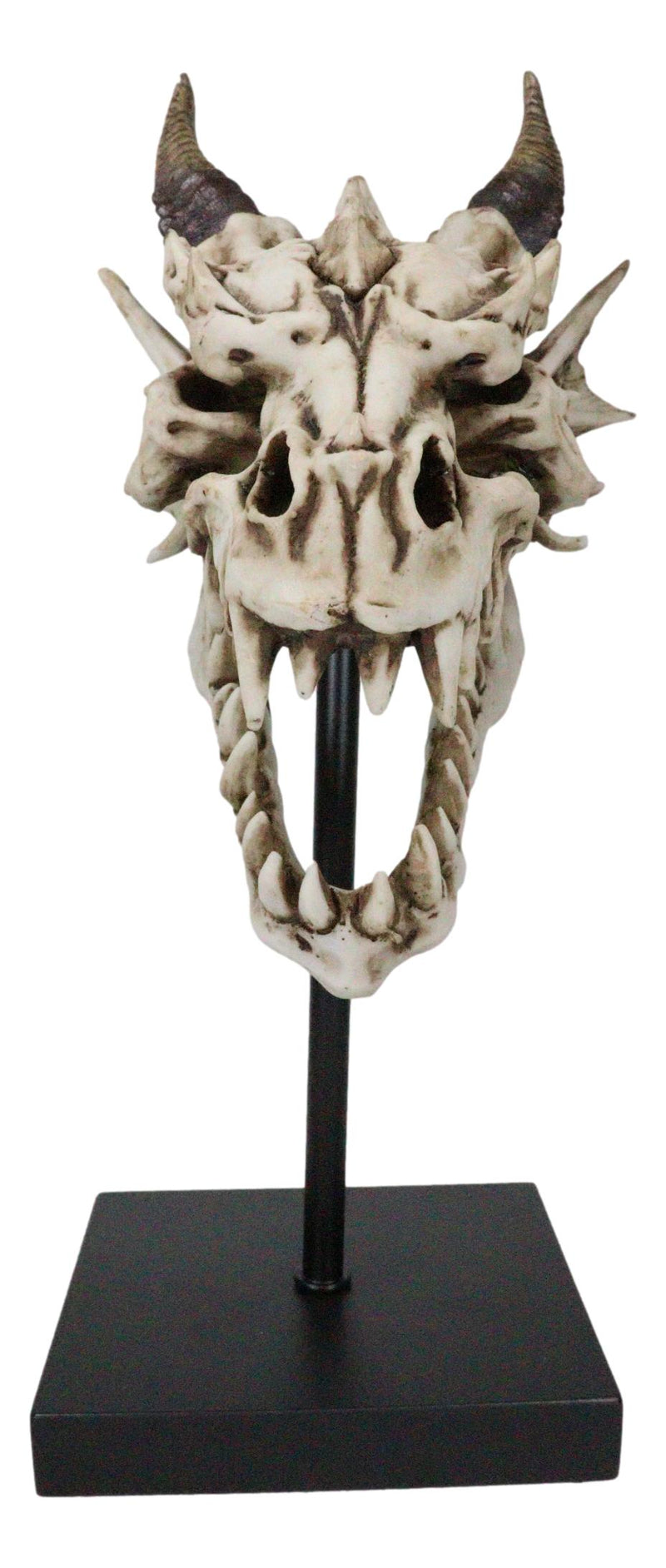 Ferocious Terra Bone Dragon Head Skull On Museum Pole Stand Display Figurine 12"