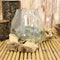 Balinese Handicraft Natural Driftwood With Fitted Hand Blown Glass Bowl 7"L