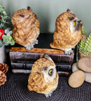 Wisdom Of The Forest See Hear Speak No Evil Great Horned Owls Figurine Set Owl