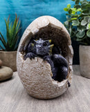 Fossil Twilight Onyx Dragon Hatchling Breaking Out Of Egg Shell Figurine