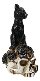 Wicca Magic Black Mystical Cat Sitting On Skull With Poison Roses Mini Figurine