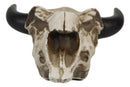 Western Steer Cow Skull Decorative Tea Light Votive Candle Holder Figurine