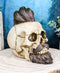 Ebros Bearded Skull with Stylish Haircut and Curled Mustache Figurine 7" Long