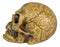 Ebros Alchemy Alpha Omega Ancient Mystical Symbols Skull With Sharp Canine Figurine