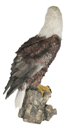 Large Realistic American Bald Eagle Bird Perching On Rock Decorative Figurine