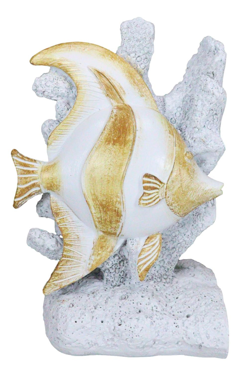 Nautical Sea Coastal Marine Angelfish Fishes Swimming By Corals Bookends Pair