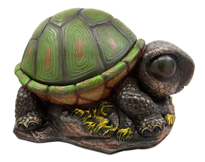 Ebros Gift Adorable Turtle Secret Stash Shell Decorative Jewelry Trinket Box Figurine 8.5" L