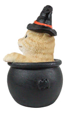 Ebros Witching Hour Halloween Tabby Cat With Witch Hat In Black Cauldron Statue