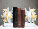 Nautical Sea Coastal Marine Angelfish Fishes Swimming By Corals Bookends Pair