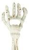 Pack of 2 Cast Iron Rustic White Bone Skeleton Arm Hand Beer Bottle Cap Opener