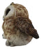 Ebros Whimsical Tropical Brown Great Horned Baby Owl Wobbly Tiptoeing Figurine