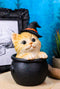 Ebros Witching Hour Halloween Tabby Cat With Witch Hat In Black Cauldron Statue