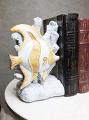 Nautical Sea Coastal Marine Angelfish Fishes Swimming By Corals Bookends Pair